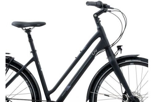 Rower trekkingowy Liv Allure CS 2 GB 2020